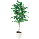フィッカスベンジャミナ W80×H180cm|TK98518 アーティフィシャルグリーン 人工観葉植物 鉢付きグリーン 造花 おしゃれ 上質 上品 高級 ゴージ...