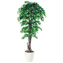 フィッカスベンジャミナリアナ W90×H180cm|TK98521 アーティフィシャルグリーン 人工観葉植物 鉢付きグリーン 造花 おしゃれ 上質 上品 高級 ...
