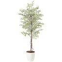 ベンジャミナスターライト W90×H200cm|TK98523 アーティフィシャルグリーン 人工観葉植物 鉢付きグリーン 造花 おしゃれ 上質 上品 高級 ゴー...