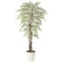 ベンジャミナスターライトリアナ W100×H200cm|TK98526 アーティフィシャルグリーン 人工観葉植物 鉢付きグリーン 造花 おしゃれ 上質 上品 高...
