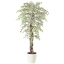 ベンジャミナスターライトリアナ W80×H150cm|TK98528 アーティフィシャルグリーン 人工観葉植物 鉢付きグリーン 造花 おしゃれ 上質 上品 高級...