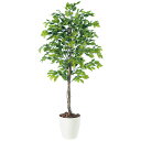 ベンジャミナスプラッシュ W90×H200cm|TK98529 アーティフィシャルグリーン 人工観葉植物 鉢付きグリーン 造花 おしゃれ 上質 上品 高級 ゴー...