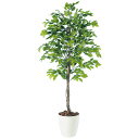 ベンジャミナスプラッシュ W70×H150cm|TK98531 アーティフィシャルグリーン 人工観葉植物 鉢付きグリーン 造花 おしゃれ 上質 上品 高級 ゴー...