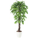 ベンジャミナスプラッシュリアナ W100×H200cm|TK98532 アーティフィシャルグリーン 人工観葉植物 鉢付きグリーン 造花 おしゃれ 上質 上品 高...