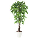 ベンジャミナスプラッシュリアナ W80×H150cm|TK98534 アーティフィシャルグリーン 人工観葉植物 鉢付きグリーン 造花 おしゃれ 上質 上品 高級...