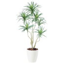 コンシナトリコロル W70×H140cm|TK98551 アーティフィシャルグリーン 人工観葉植物 鉢付きグリーン 造花 おしゃれ 上質 上品 高級 ゴージャス...