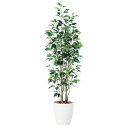 ベンジャミン スリム FST W50×H150cm|TK98649 アーティフィシャルグリーン 人工観葉植物 鉢付きグリーン 造花 おしゃれ 上質 上品 高級 ...