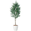 ライプオリーブデュアル W90×H200cm|TK98661 アーティフィシャルグリーン 人工観葉植物 鉢付きグリーン 造花 おしゃれ 上質 上品 高級 ゴージ...