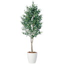 ライプオリーブデュアル W70×H150cm|TK98665 アーティフィシャルグリーン 人工観葉植物 鉢付きグリーン 造花 おしゃれ 上質 上品 高級 ゴージ...