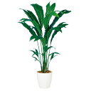 チャメドレア W90×H150cm|TK98880 アーティフィシャルグリーン 人工観葉植物 鉢付きグリーン 造花 おしゃれ 上質 上品 高級 ゴージャス リビ...
