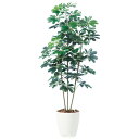 シェフレラ W75×H150cm|TK98892 アーティフィシャルグリーン 人工観葉植物 鉢付きグリーン 造花 おしゃれ 上質 上品 高級 ゴージャス リビン...