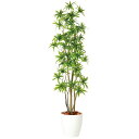 ソング・オブ・インディア FST W60×H165cm|TK98902 アーティフィシャルグリーン 人工観葉植物 鉢付きグリーン 造花 おしゃれ 上質 上品 高...
