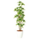 ソング・オブ・インディア FST W50×H150cm|TK98903 アーティフィシャルグリーン 人工観葉植物 鉢付きグリーン 造花 おしゃれ 上質 上品 高...