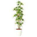 ソング・オブ・インディア FST W50×H135cm|TK98905 アーティフィシャルグリーン 人工観葉植物 鉢付きグリーン 造花 おしゃれ 上質 上品 高...