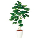 ウンベラータ2本立 FST W60×H120cm|TK98920 アーティフィシャルグリーン 人工観葉植物 鉢付きグリーン 造花 おしゃれ 上質 上品 高級 ゴ...