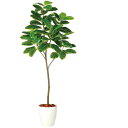 アルテシマ FST W70×H180cm|TK98929 アーティフィシャルグリーン 人工観葉植物 鉢付きグリーン 造花 おしゃれ 上質 上品 高級 ゴージャス...