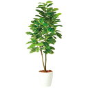 アルテシマ株立 FST W80×H180cm|TK98940 アーティフィシャルグリーン 人工観葉植物 鉢付きグリーン 造花 おしゃれ 上質 上品 高級 ゴージ...