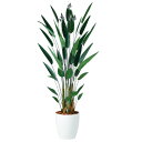 カンナ W80×H200cm|TK98953 アーティフィシャルグリーン 人工観葉植物 鉢付きグリーン 造花 おしゃれ 上質 上品 高級 ゴージャス リビング ...