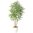 ゴールデンリーフ FST W80×H165cm|TK98971 アーティフィシャルグリーン 人工観葉植物 鉢付きグリーン 造花 おしゃれ 上質 上品 高級 ゴー...