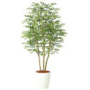 ゴールデンリーフ FST W70×H140cm|TK98974 アーティフィシャルグリーン 人工観葉植物 鉢付きグリーン 造花 おしゃれ 上質 上品 高級 ゴー...