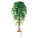 アカシアリアナ W80×H150cm|TK98985 アーティフィシャルグリーン 人工観葉植物 鉢付きグリーン 造花 おしゃれ 上質 上品 高級 ゴージャス リ...