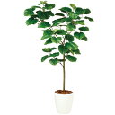 ウンベラータ FST W80×H150cm|TK99103 アーティフィシャルグリーン 人工観葉植物 鉢付きグリーン 造花 おしゃれ 上質 上品 高級 ゴージャ...
