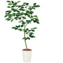 ベンガルボダイジュ FST W80×H150cm|TK99116 アーティフィシャルグリーン 人工観葉植物 鉢付きグリーン 造花 おしゃれ 上質 上品 高級 ゴージャス リビング サロン ホール(4)