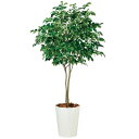 ベンジャミン ワイド FST W110×H200cm|TK99120 アーティフィシャルグリーン 人工観葉植物 鉢付きグリーン 造花 おしゃれ 上質 上品 高級...