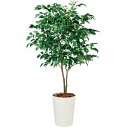 ベンジャミン ワイド FST W90×H150cm|TK99122 アーティフィシャルグリーン 人工観葉植物 鉢付きグリーン 造花 おしゃれ 上質 上品 高級 ...