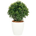 ベイリーフ W45×H70cm|TK99141 アーティフィシャルグリーン 人工観葉植物 鉢付きグリーン 造花 おしゃれ 上質 上品 高級 ゴージャス リビング...
