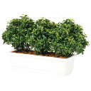 ベイリーフ パーテーション W110×D45×H65cm|TK99144 アーティフィシャルグリーン 人工観葉植物 鉢付きグリーン 造花 おしゃれ 上質 上品 ...