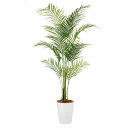 アレカヤシ PE W100×H200cm|TK99153 アーティフィシャルグリーン 人工観葉植物 鉢付きグリーン 造花 おしゃれ 上質 上品 高級 ゴージャス...