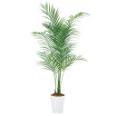 アレカヤシ PE W80×H180cm|TK99156 アーティフィシャルグリーン 人工観葉植物 鉢付きグリーン 造花 おしゃれ 上質 上品 高級 ゴージャス ...