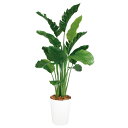 ストレリチア・オーガスタ MIX W110×H200cm|TK99172 アーティフィシャルグリーン 人工観葉植物 鉢付きグリーン 造花 おしゃれ 上質 上品 ...