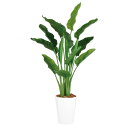 ストレリチア・オーガスタ MIX W110×H170cm|TK99174 アーティフィシャルグリーン 人工観葉植物 鉢付きグリーン 造花 おしゃれ 上質 上品 ...