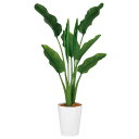 ストレリチア・オーガスタ MIX W90×H130cm|TK99176 アーティフィシャルグリーン 人工観葉植物 鉢付きグリーン 造花 おしゃれ 上質 上品 高...