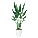 ストレリチア・レギネ W70×H140cm|TK99178 アーティフィシャルグリーン 人工観葉植物 鉢付きグリーン 造花 おしゃれ 上質 上品 高級 ゴージャ...