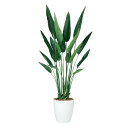 ストレリチア・レギネ W70×H130cm|TK99180 アーティフィシャルグリーン 人工観葉植物 鉢付きグリーン 造花 おしゃれ 上質 上品 高級 ゴージャ...