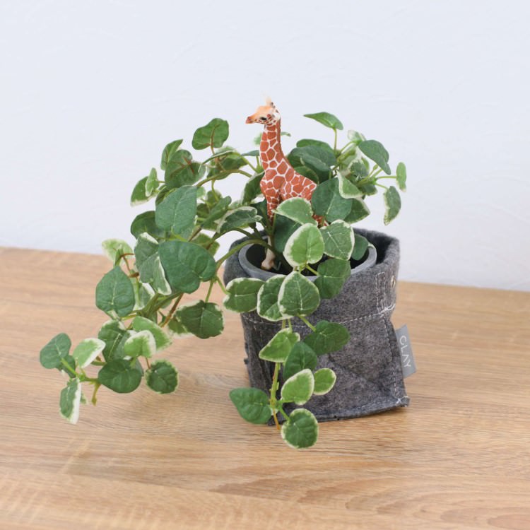 シュライヒ キリン プミラ フェルトポット 24cm｜GLA-1529FC アーティフィシャルグリーン 人工観葉植物..