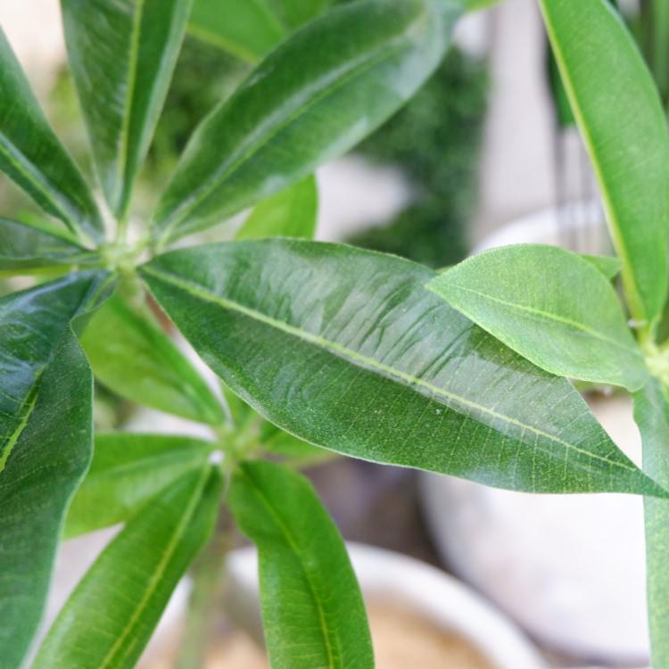 パキラポット 120cm｜GLA-1477 アーティフィシャルグリーン 人工観葉植物 グリーン 造花 おしゃれ 上質 上品 高級 ゴージャス リビング サロン ホール