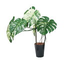 110cmモンステラポット(ポットカラー:ブラック)|GLAS-1548BKL アーティフィシャルグリーン 人工観葉植物 鉢付きグリーン 造花 おしゃれ 上質 ...