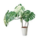 110cmモンステラポット(ポットカラー:パールホワイト)|GLAS-1548PWL アーティフィシャルグリーン 人工観葉植物 鉢付きグリーン 造花 おしゃれ 上質 上品 高級 ゴージャス リビング サロン ホール(4)