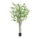 210cmドウダン|GLP-1538 アーティフィシャルグリーン 人工観葉植物 鉢付きグリーン 造花 おしゃれ 上質 上品 高級 ゴージャス リビング サロン ...