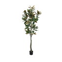 220cmマグノリアツリー|GLP-1541 アーティフィシャルグリーン 人工観葉植物 鉢付きグリーン 造花 おしゃれ 上質 上品 高級 ゴージャス リビング ...