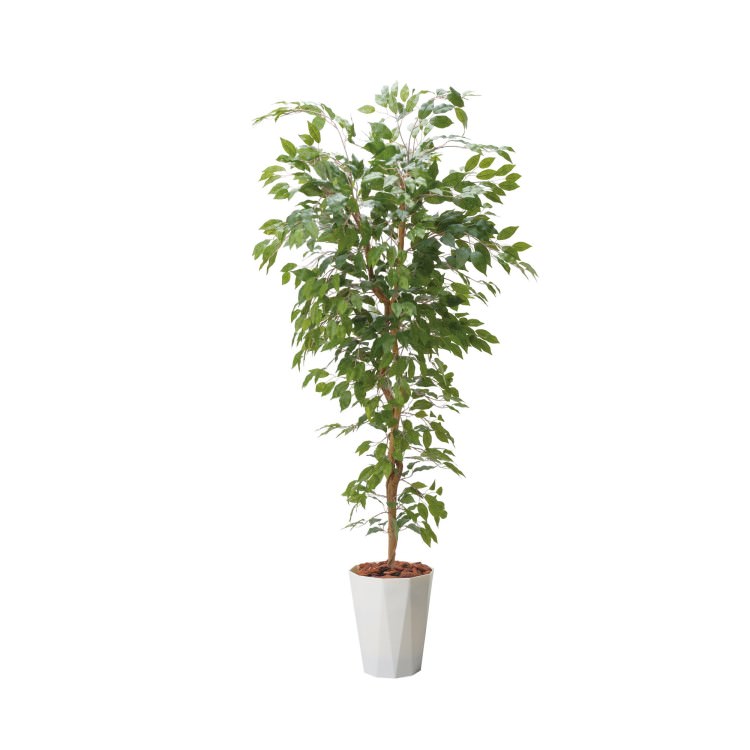 180cmベンジャミンフィカスツリー(ポットカラー:パールホワイト)｜GLPS-1290PWL アーティフィシャルグリーン 人工観葉植物 鉢付きグリーン 造花 おしゃれ 上質 上品 高級 ゴージャス リビング サロン ホール