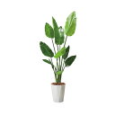 120cmオーガスタ(ポットカラー:パールホワイト)|GLPS-1520PWL アーティフィシャルグリーン 人工観葉植物 鉢付きグリーン 造花 おしゃれ 上質 ...