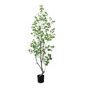 フィカストライアンギュラス 180cm|GLP-1570アーティフィシャルグリーン 人工観葉植物 グリーン 造花 おしゃれ 上質 上品 高級 ゴージャス リビン...