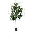 ショウナンゴム 180cm|GLP-1572アーティフィシャルグリーン 人工観葉植物 グリーン 造花 おしゃれ 上質 上品 高級 ゴージャス リビング サロン ...
