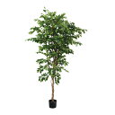 ベンジャミン 210cm|GLP-1581アーティフィシャルグリーン 人工観葉植物 グリーン 造花 おしゃれ 上質 上品 高級 ゴージャス リビング サロン ホ...