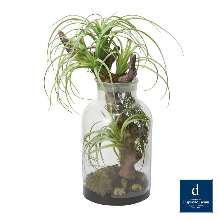 樂天商城 - ボタニカルチランジア 45cm｜GLA-1476 アーティフィシャルグリーン 人工観葉植物 鉢付きグリーン 造花 おしゃれ 上質 上品 高級 ゴージャス リビング サロン ホール